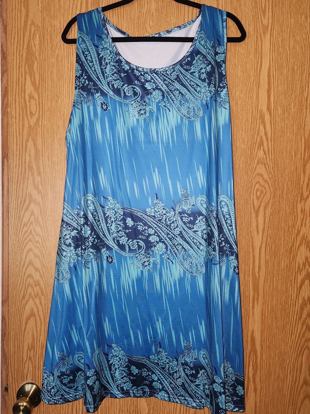 Blue Paisley Print Sleeveless Dress